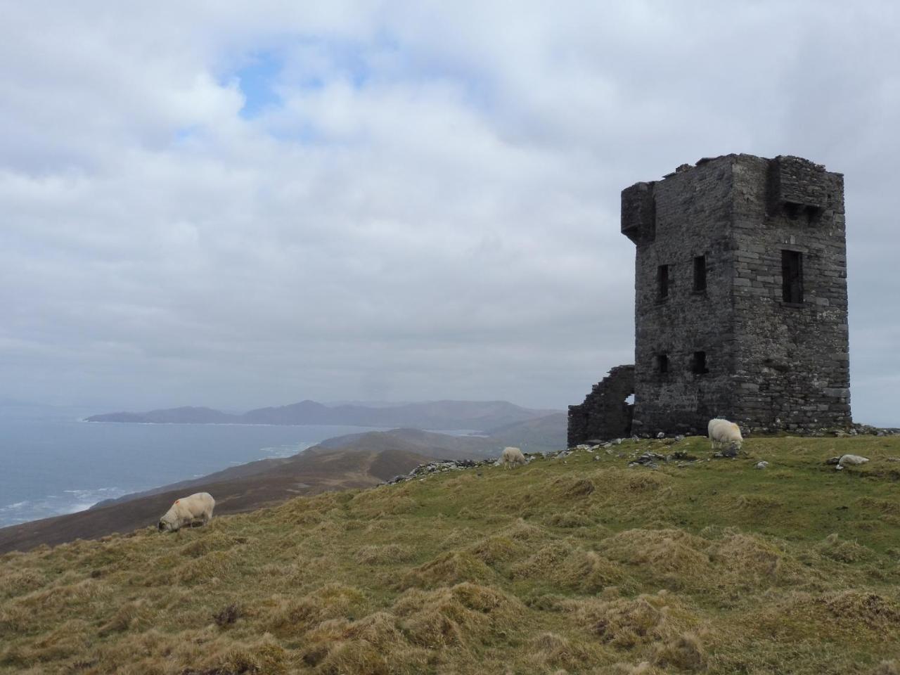 Island View House Castletownbere Exterior foto