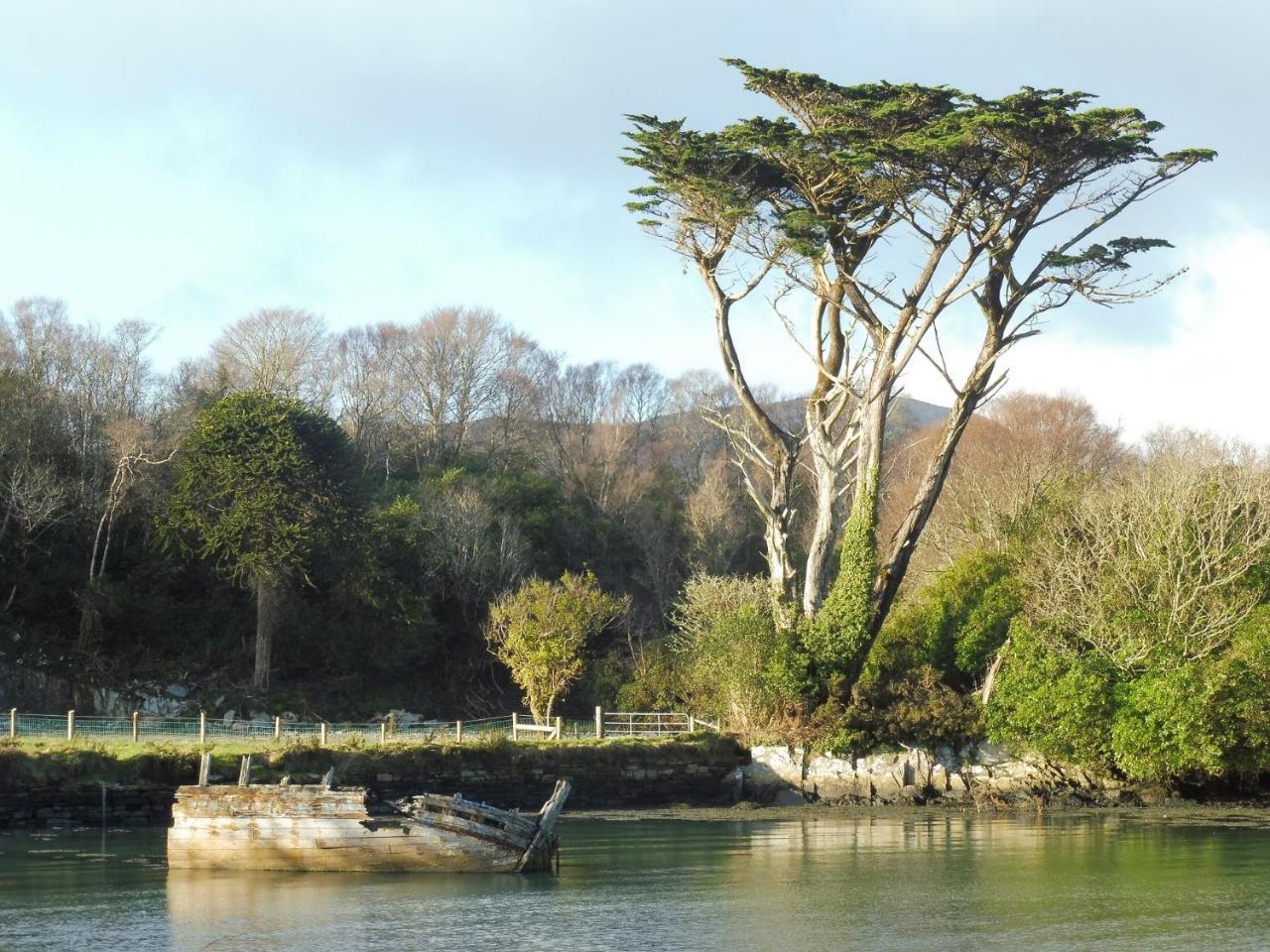 Island View House Castletownbere Exterior foto
